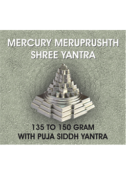 Parad Shree Yantra With Pooja